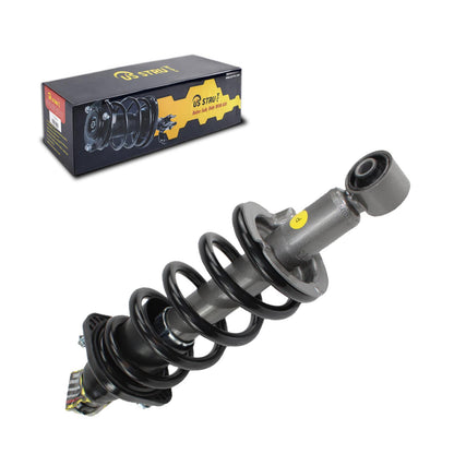 Rear Passenger Complete Strut & Shock Assembly for 2002-2006 Honda CR-V