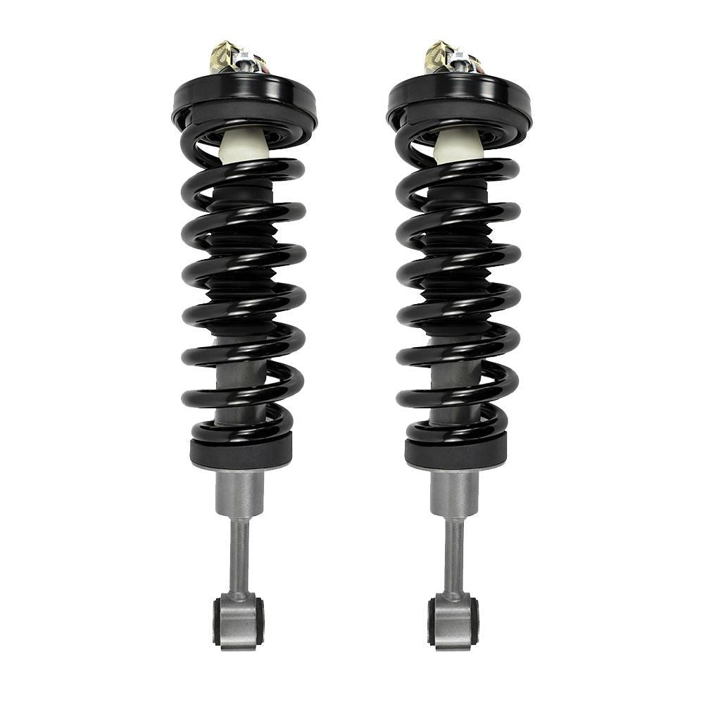 Front Pair Complete Strut & Shock Assembly for 2004-2008 Ford F-150
