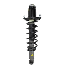 Rear Driver Complete Strut & Shock Assembly for 2003-2008 Toyota Corolla
