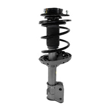 Front Passenger Complete Strut & Shock Assembly for 2005-2009 Subaru Legacy
