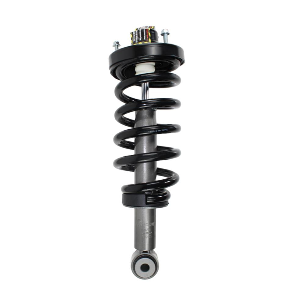 Rear Complete Strut & Shock Assembly for 2007-2017 Ford Expedition