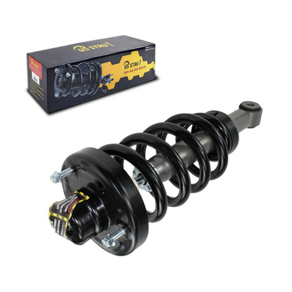 Rear Complete Strut & Shock Assembly for 2010-2017 Lincoln Navigator