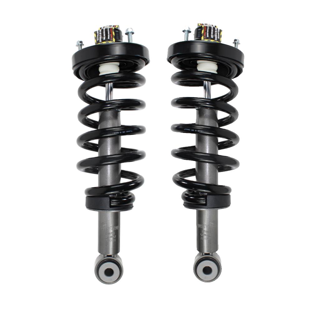 Rear Complete Strut & Shock Assembly for 2007-2017 Ford Expedition