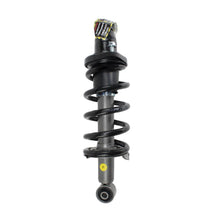 Rear Passenger Complete Strut & Shock Assembly for 2002-2006 Honda CR-V