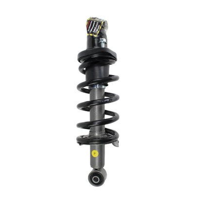 Rear Passenger Complete Strut & Shock Assembly for 2002-2006 Honda CR-V
